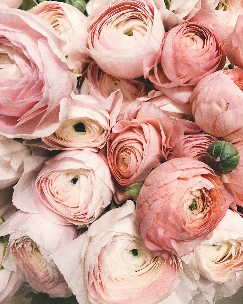 Ramo Primavera — flores de temporada en tonos cálidos